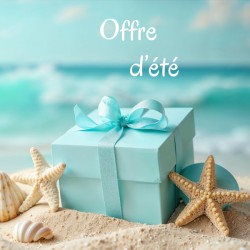 Offre 3 : Stage d'été...
