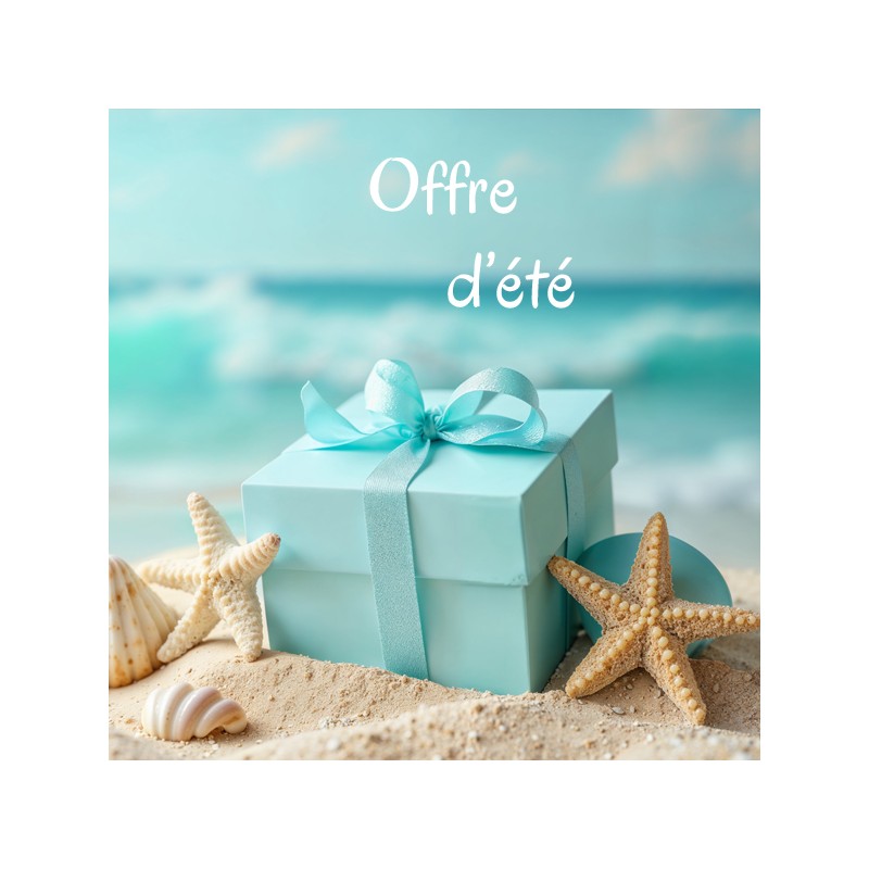 Offre 3 : Stage d'été d'écriture de nouvelles (3 nouvelles au choix, -25 %, en distanciel tutoré)