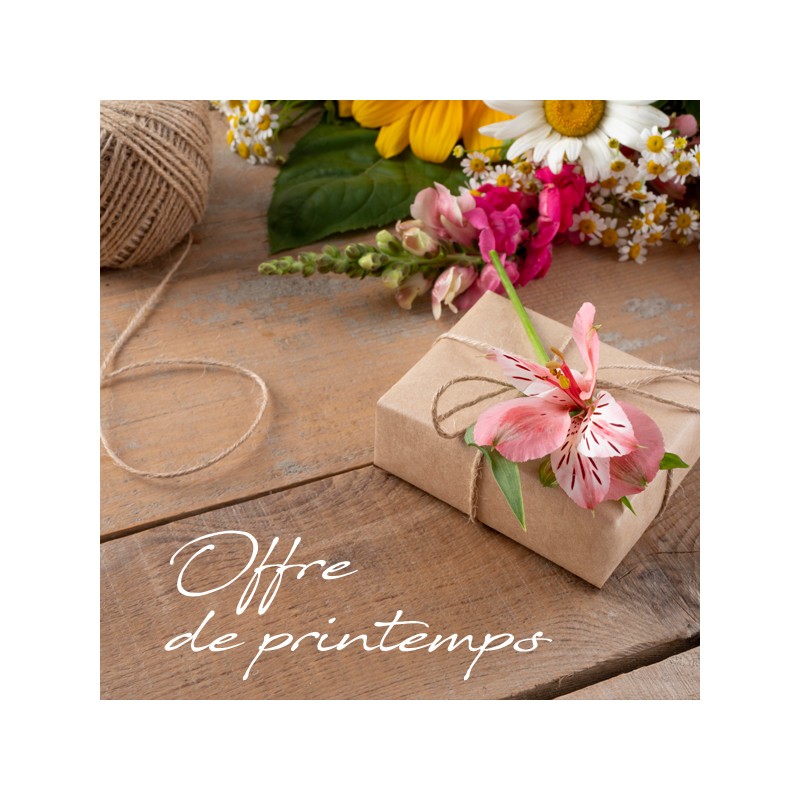 Offre 2 : 1 consultation d'une heure en Tarot coach