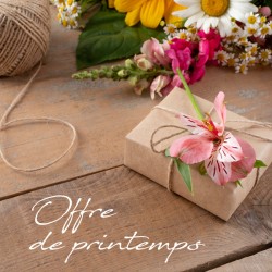 Offre 3 : Stage de...